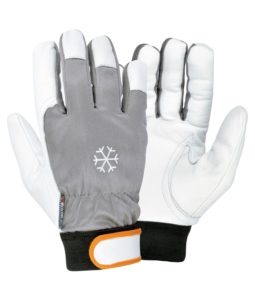 COFRA Schutz-Handschuhe Coldext (1 Paar)